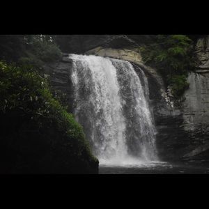 Meet your Posher, Cole